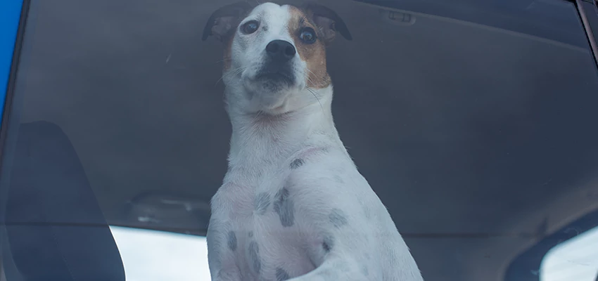 Car Lockout Solutions in Orangevale, California