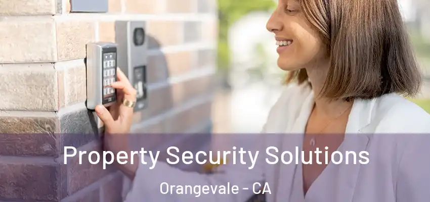  Property Security Solutions Orangevale - CA